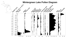 Wintergreen Lake Pollen Diagram